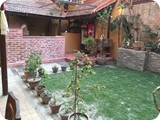 kitchen-garden